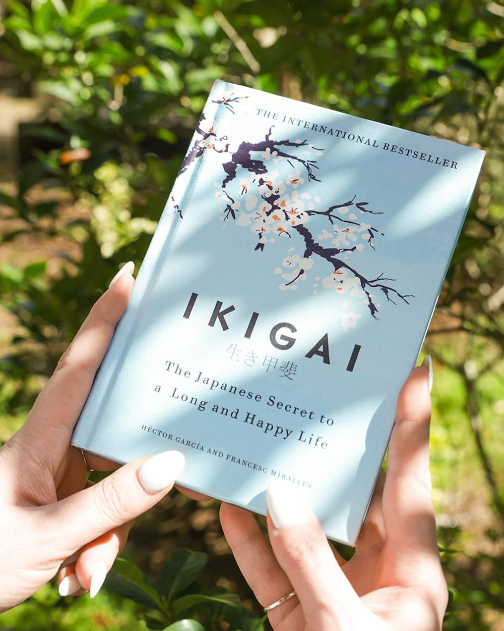 Ikigai Book