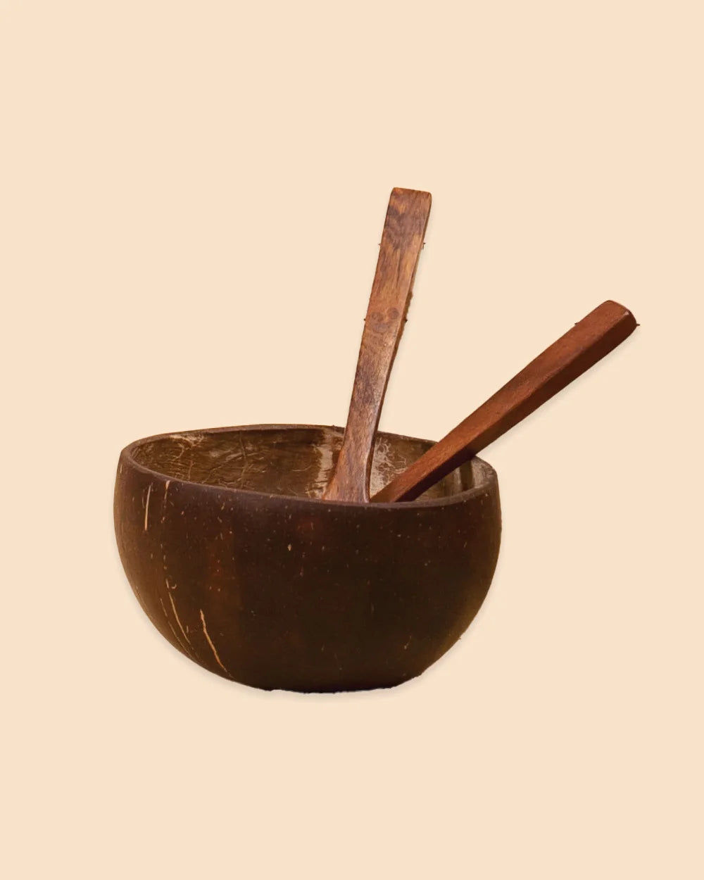 Coconut Shell Bowl
