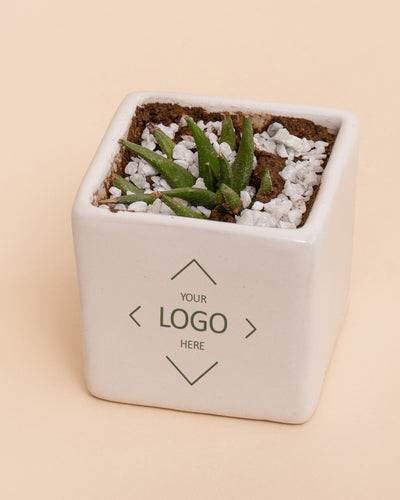 Desk Essentials Kit