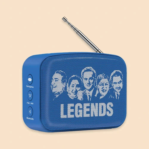 Saregama Mini Speaker