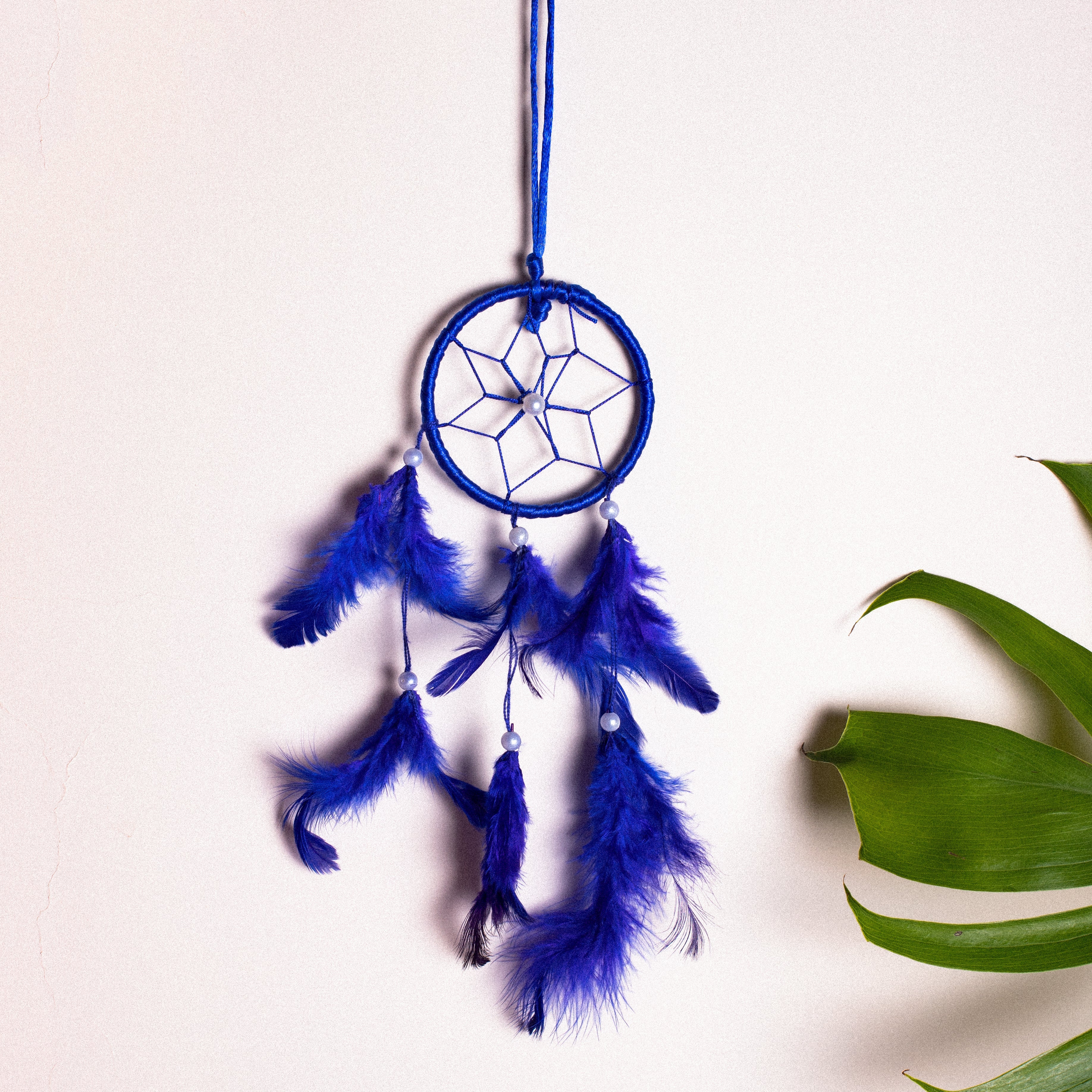 Dream Catcher