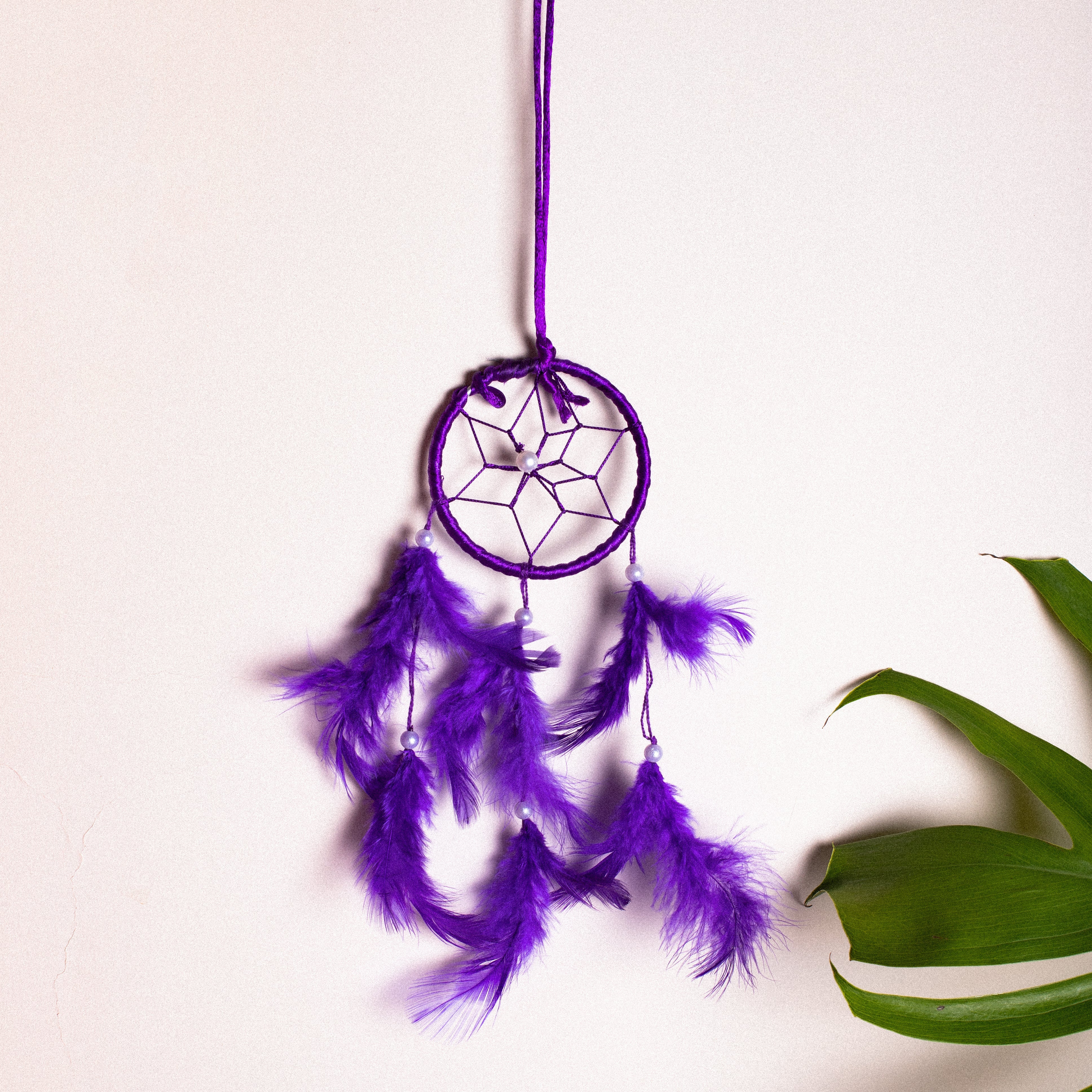 Dream Catcher