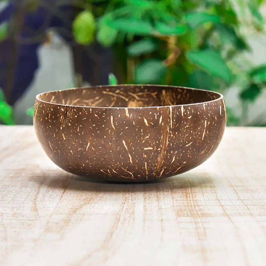 Coconut Shell Bowl